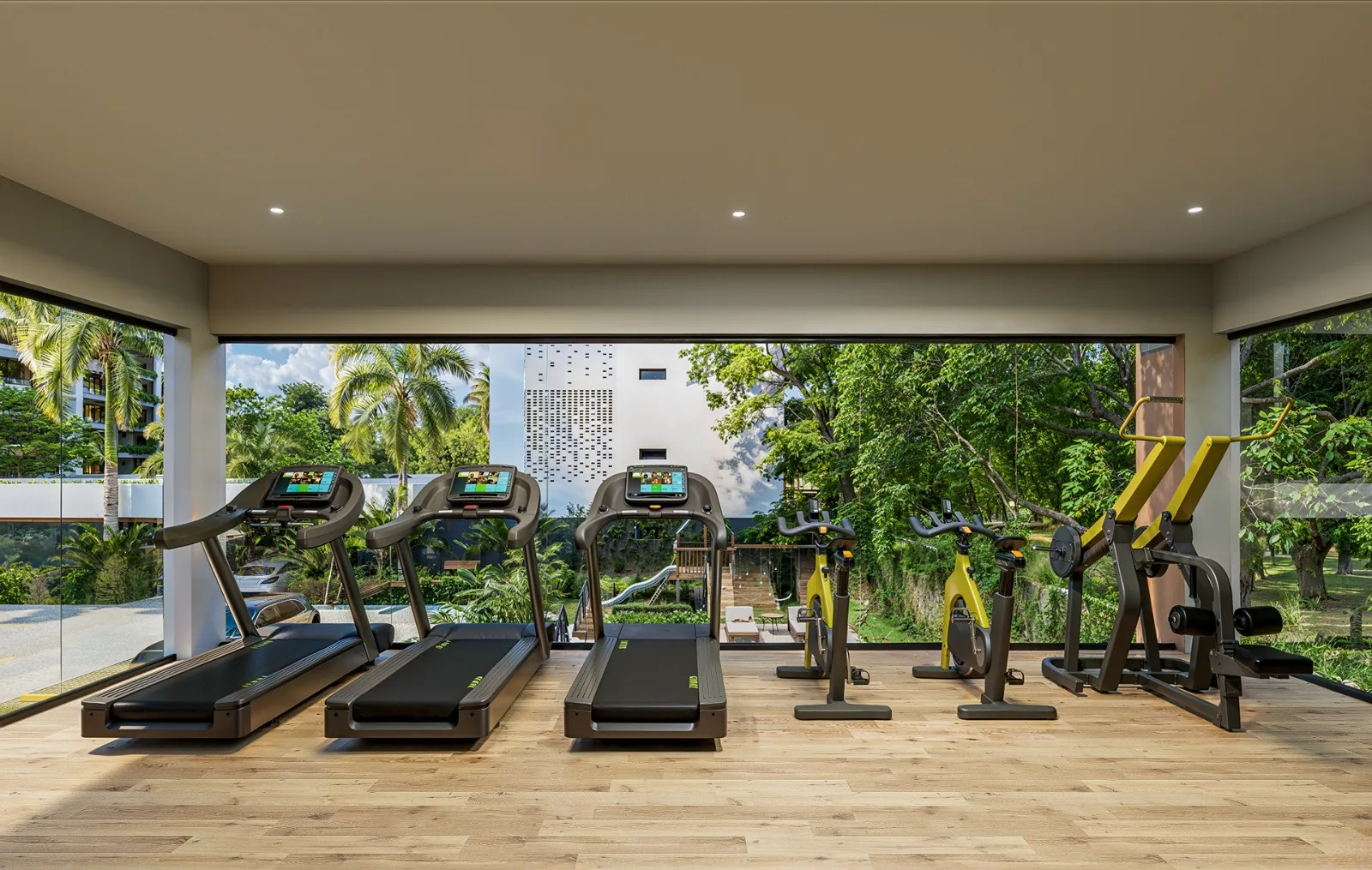 Gimnasio