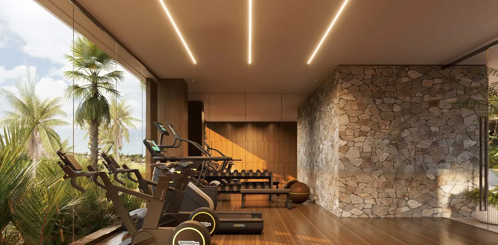 Gimnasio